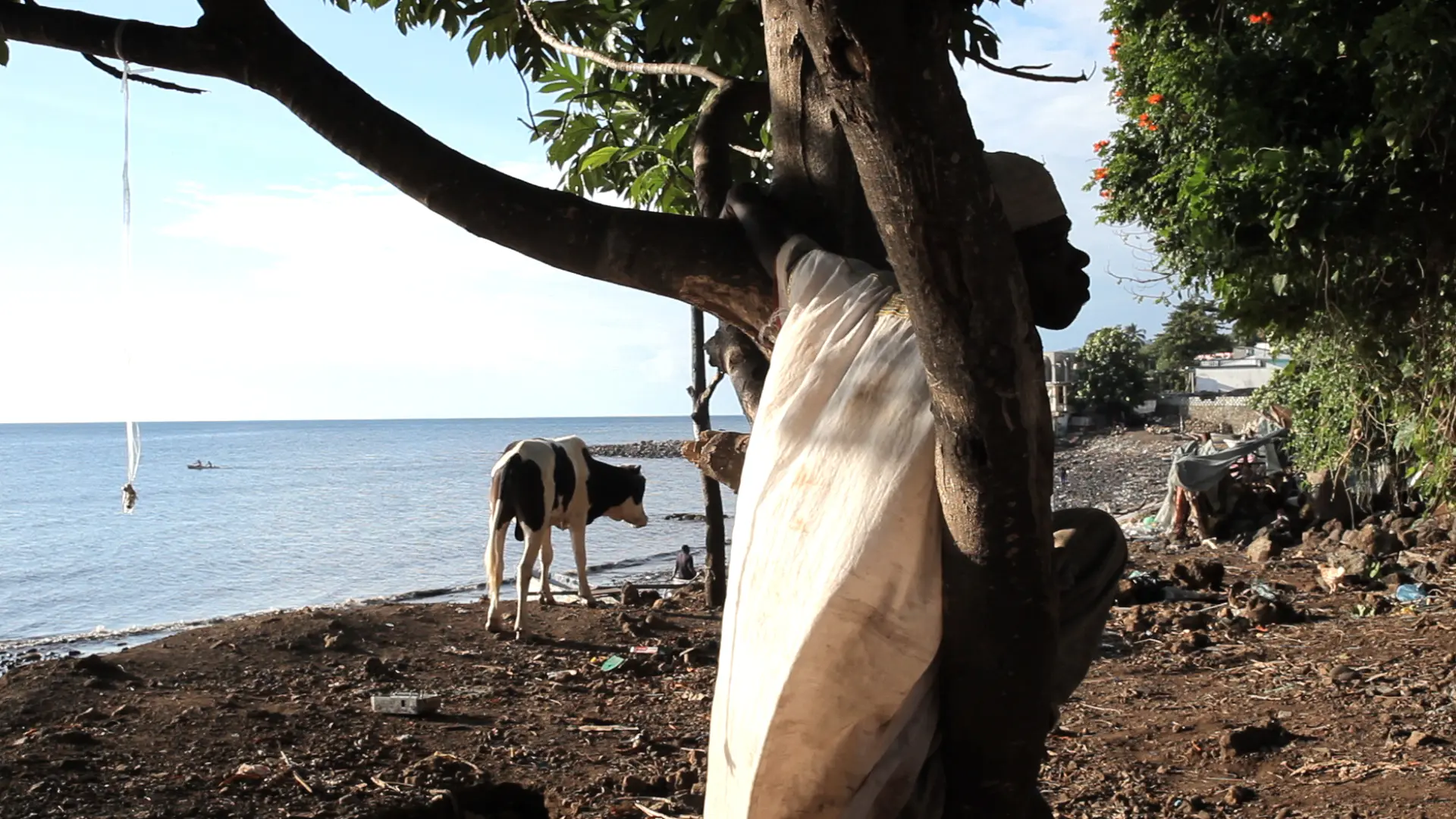 Steffen Tale of Two Islands1